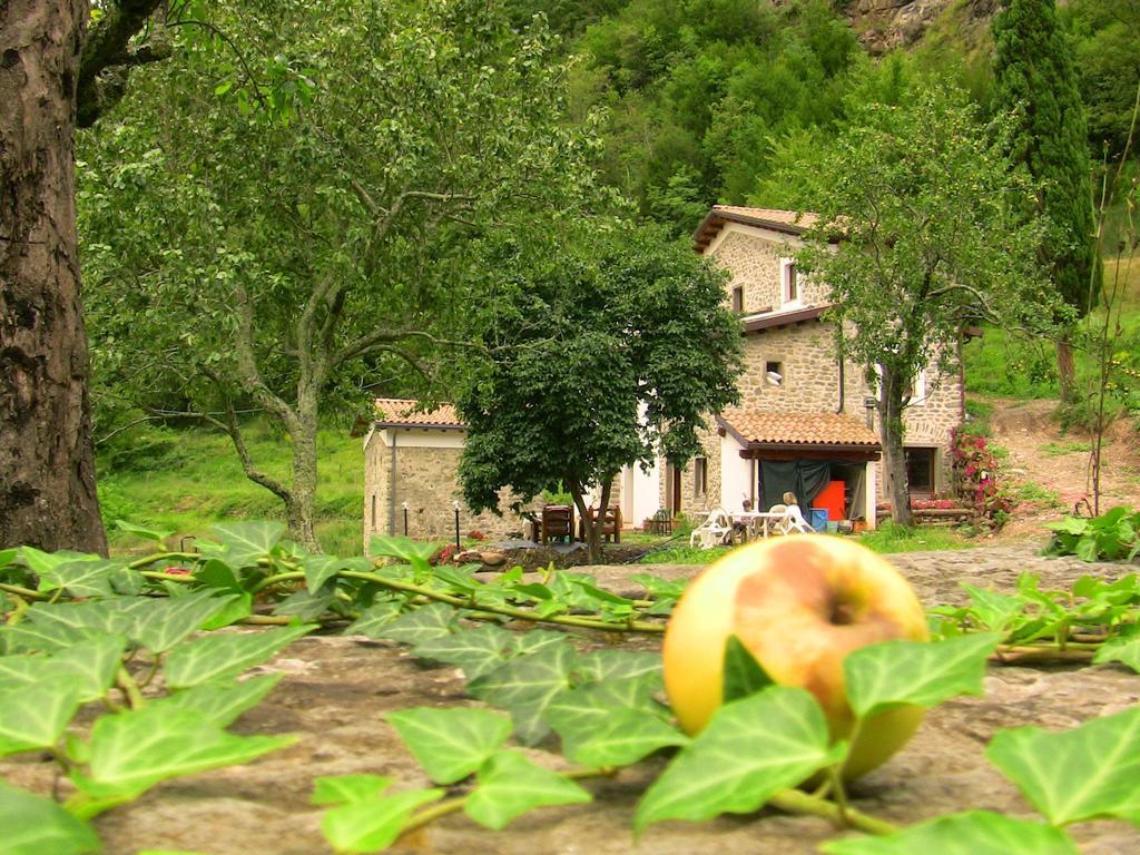 Agriturismo Di La Dall'Acqua Fivizzano Kültér fotó