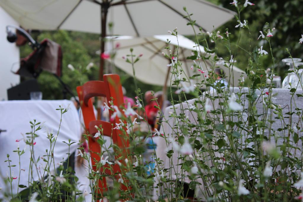 Agriturismo Di La Dall'Acqua Fivizzano Kültér fotó