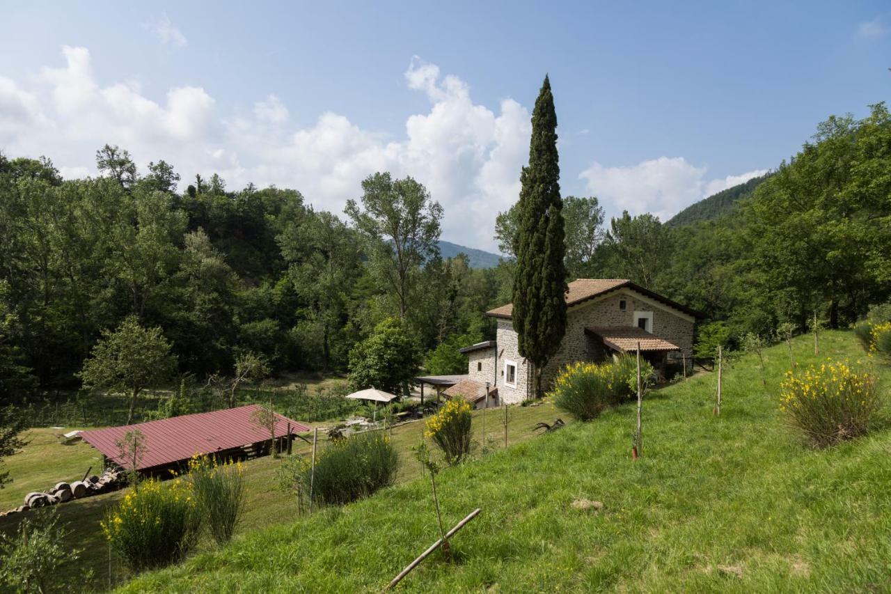 Agriturismo Di La Dall'Acqua Fivizzano Kültér fotó