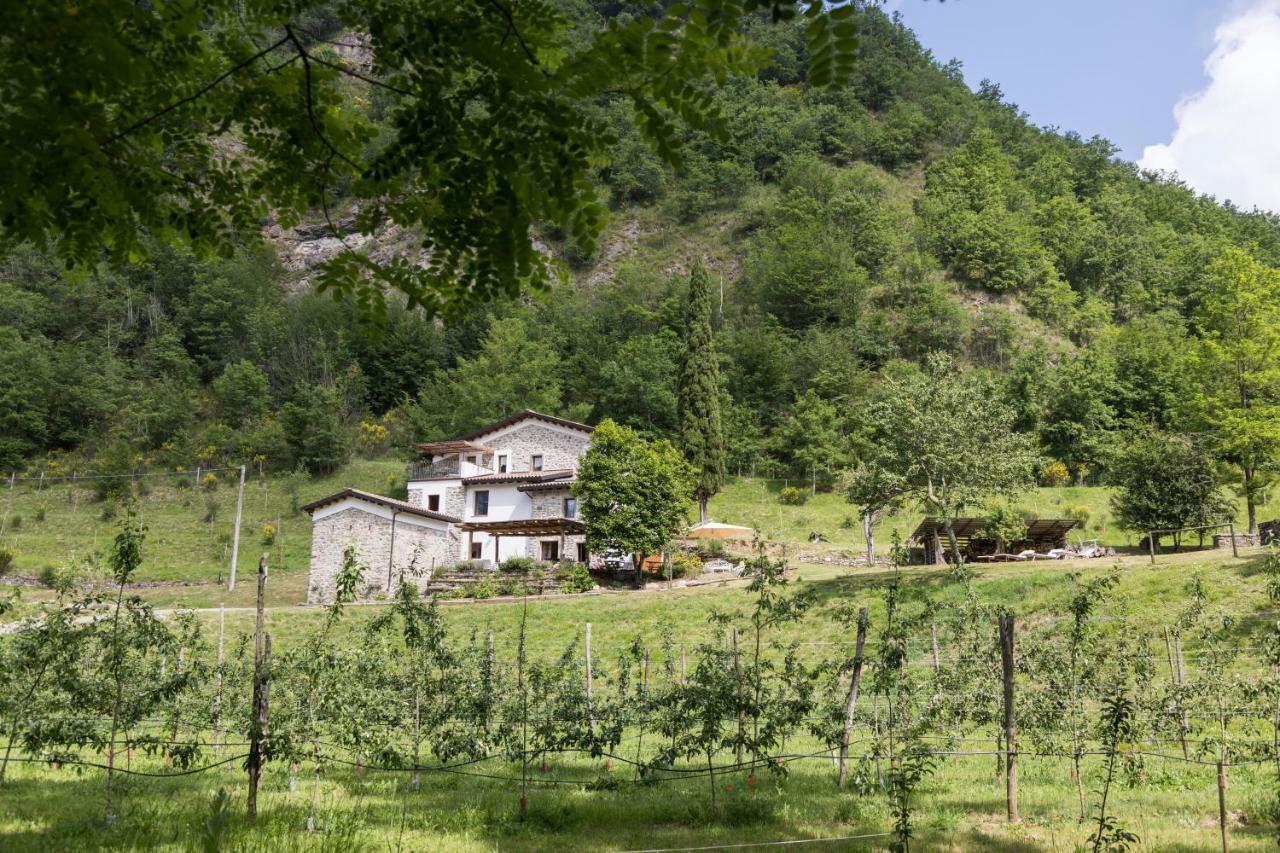 Agriturismo Di La Dall'Acqua Fivizzano Kültér fotó