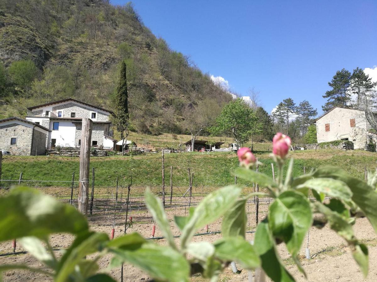 Agriturismo Di La Dall'Acqua Fivizzano Kültér fotó